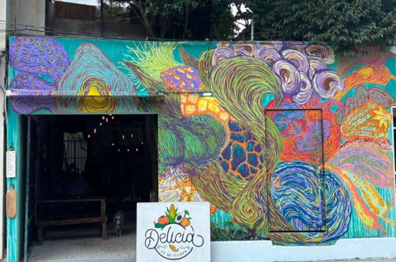 DELICIA DE MI TIERRA TULUM — photo 2