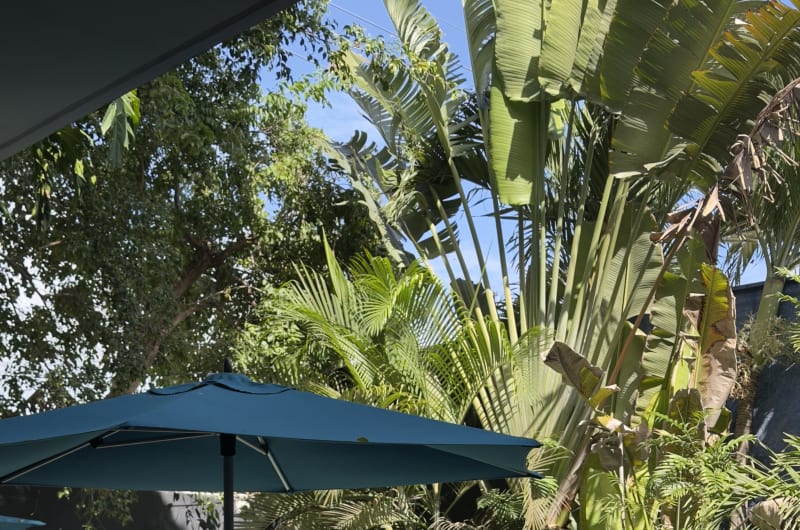 Sa'Za Tulum Restaurant — photo 1