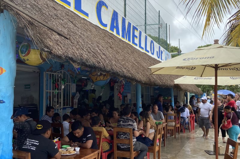 El Camello Jr. — photo 1