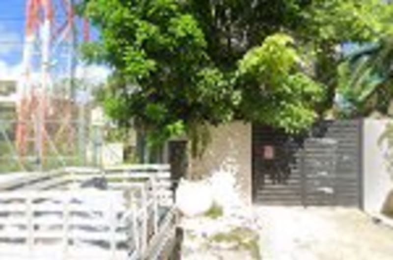 Del cheto — photo 1