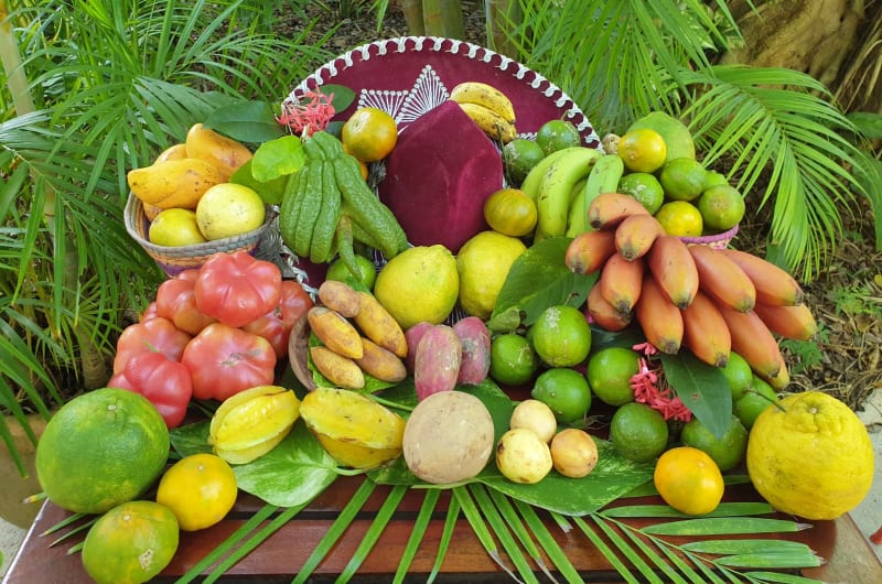 NATIVE FARMERS TULUM — photo 2