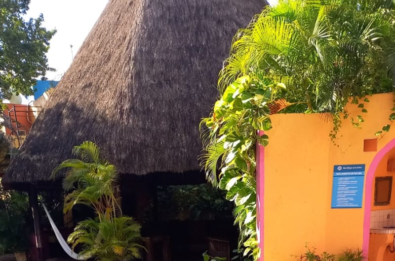 NATIVE FARMERS TULUM — photo 3