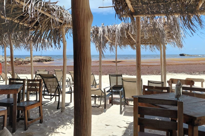 Taquería la Eufemia — photo 1