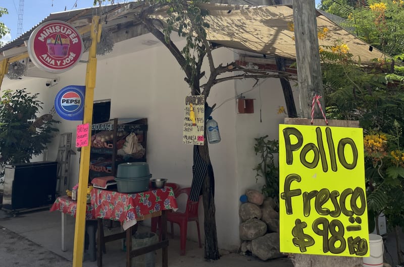 POLLERIA “PIQUITO DE POLLO” — photo 1