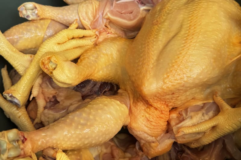 POLLERIA “PIQUITO DE POLLO” — photo 2