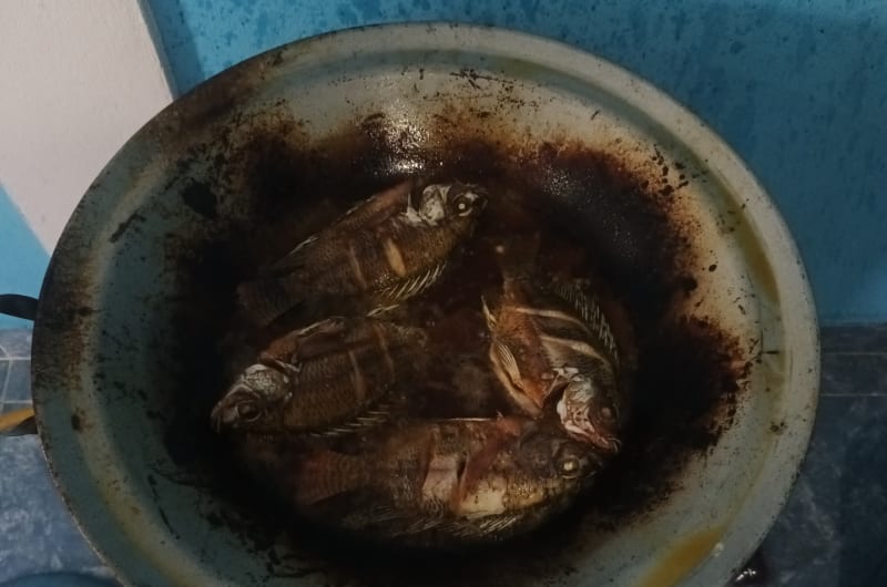 Tacos de guisados erika — photo 1