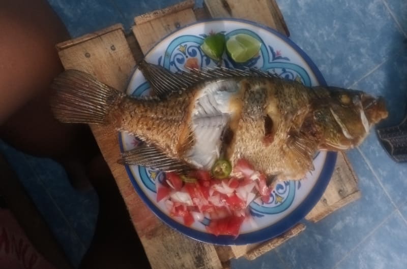 Tacos de guisados erika — photo 2