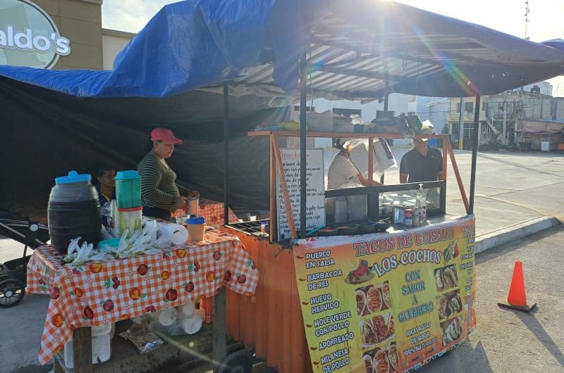Tacos de guisado "los cochos" — photo 1