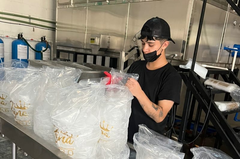 La Reina Del Hielo — photo 1