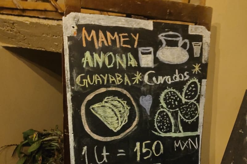 Pulqueria Casa Mayahuel — photo 2