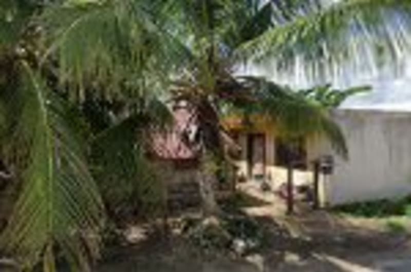 La Palapa de la Selva — photo 1
