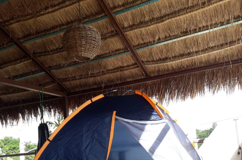 La Palapa de la Selva — photo 2