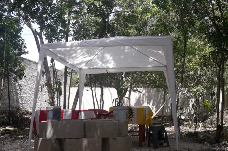 La Palapa de la Selva — photo 3