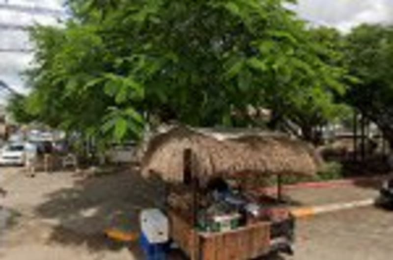 Tulum Pueblo Magico — photo 3