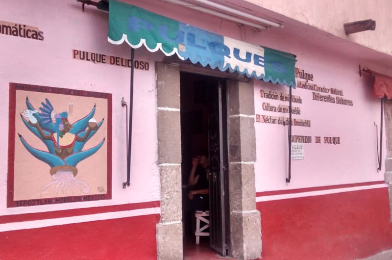Pulques Tepoztlan — photo 1