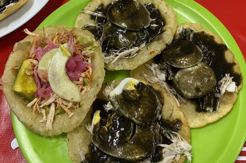 Salbutes y Panuchos Lonchería Karely — photo 2