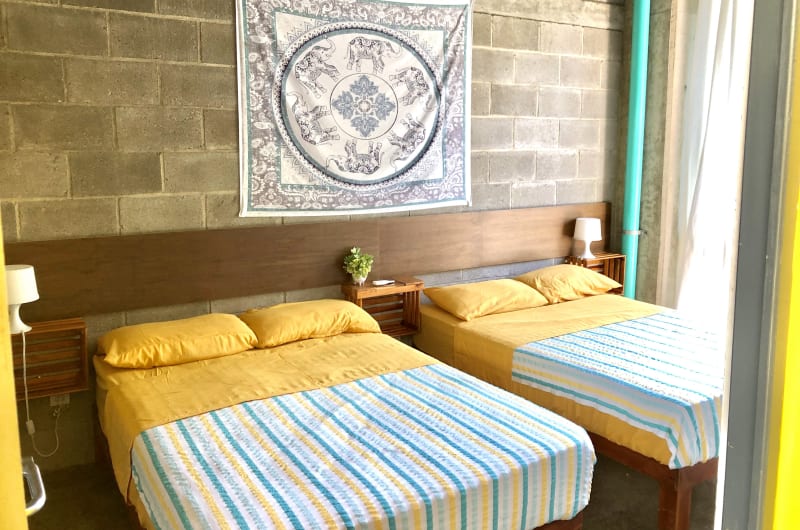 Hostal Tortuga — photo 2