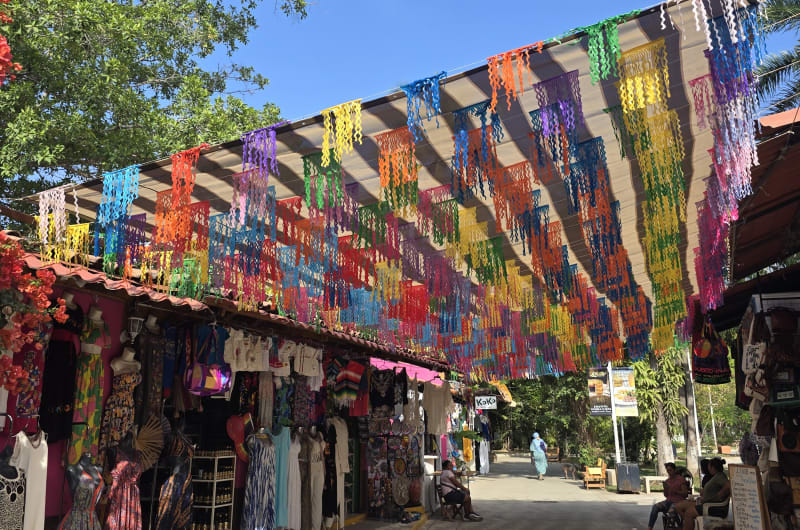 Mercado Municipal Rio Cuale — photo 1