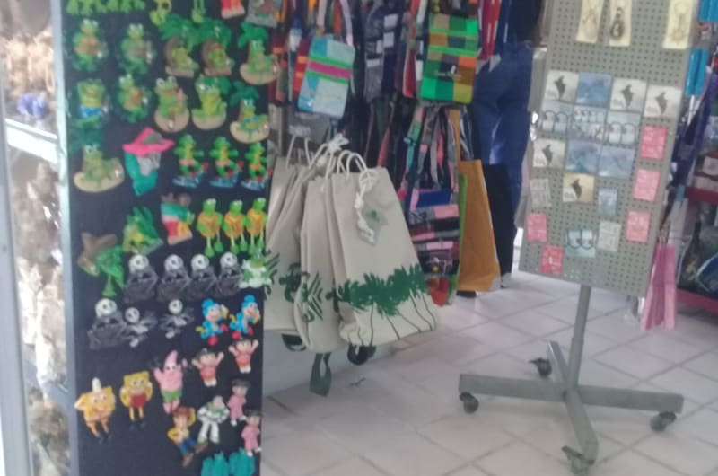 Artesanias y Recuerdos Vallarta — photo 2