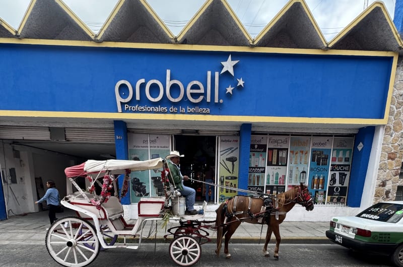 PROBELL Beauty Professionals — photo 1