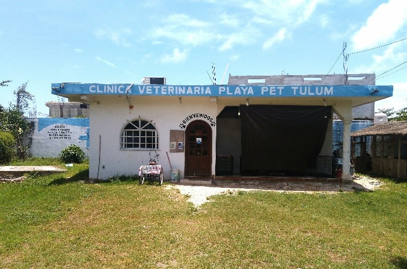 Clínica Veterinaria Playa pet Tulum — photo 2