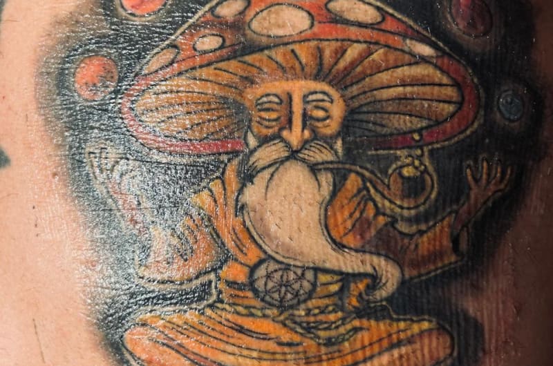 TAF & TATTOOTULUMXOLO — photo 1