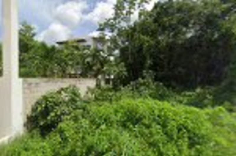 Menchaca Studio — photo 1