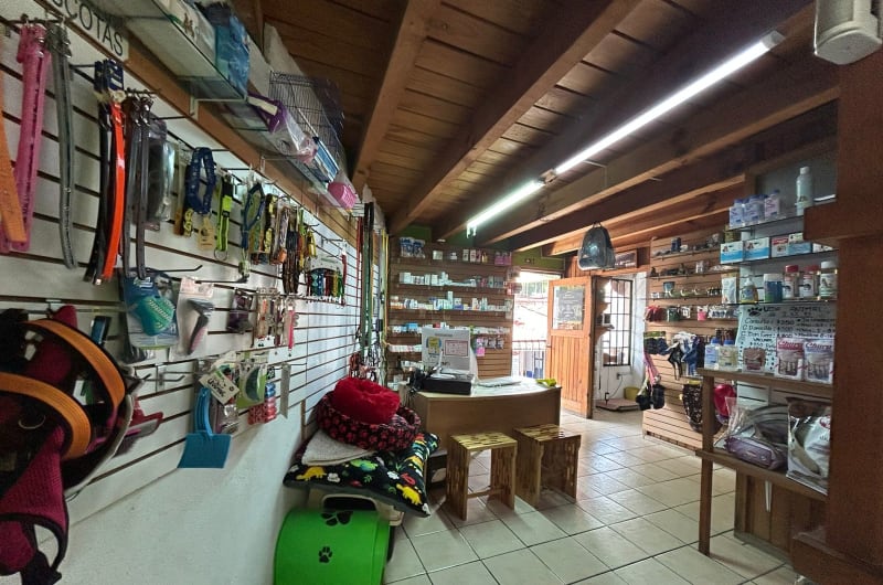 vida animal veterinaria — photo 2