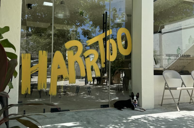 HARRTOO — photo 1