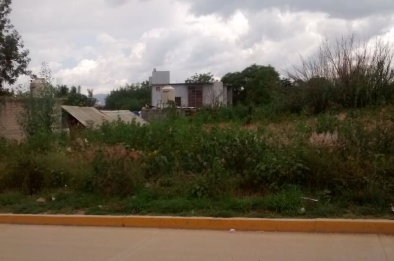 Farmacia de Más Ahorro — photo 3
