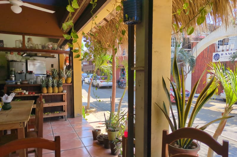 Los Palmitos — photo 1