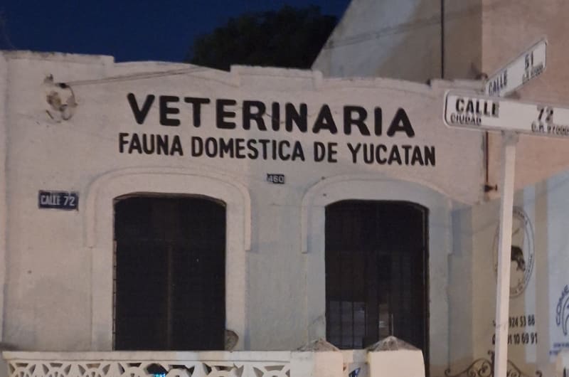 CLÍNICA VETERINARIA FAUNA DOMESTICA DE YUCATAN — photo 1