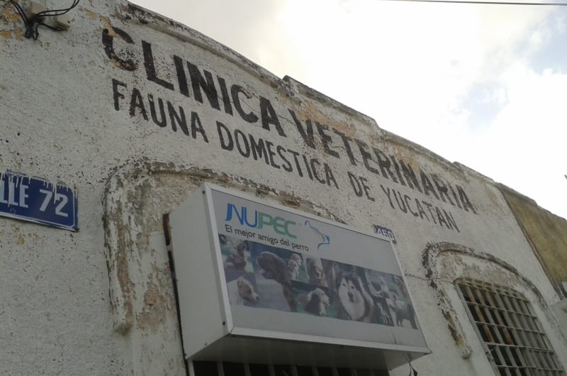 CLÍNICA VETERINARIA FAUNA DOMESTICA DE YUCATAN — photo 2
