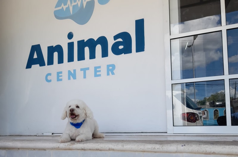 Animal Center — photo 2