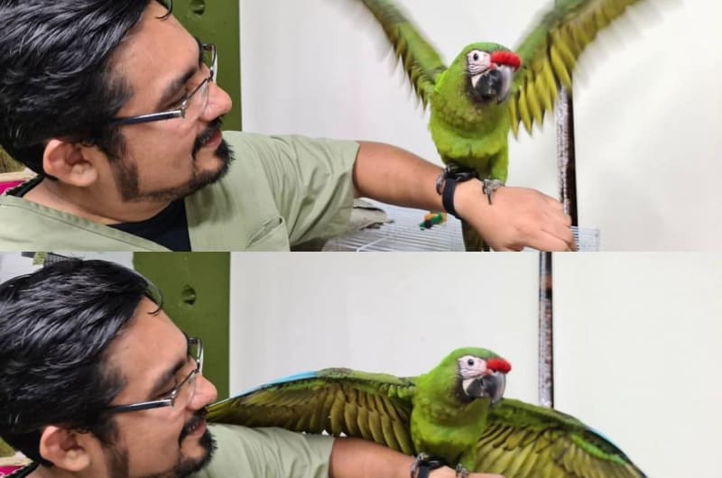 Clínica Veterinaria Planeta Fauna 🦜 — photo 2