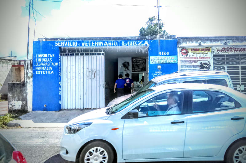 CLÍNICA VETERINARIA LOEZA — photo 1