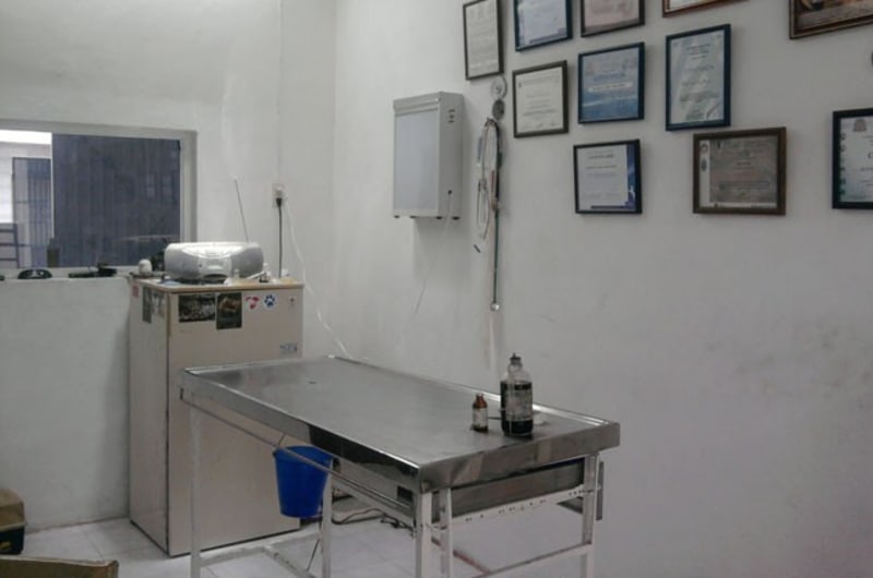 CLÍNICA VETERINARIA LOEZA — photo 2