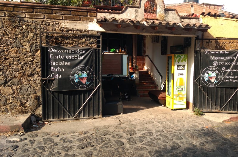 Gecko Barber — photo 1