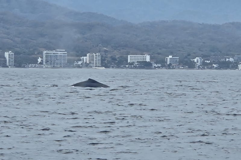 Akali Expeditions Tours — photo 2