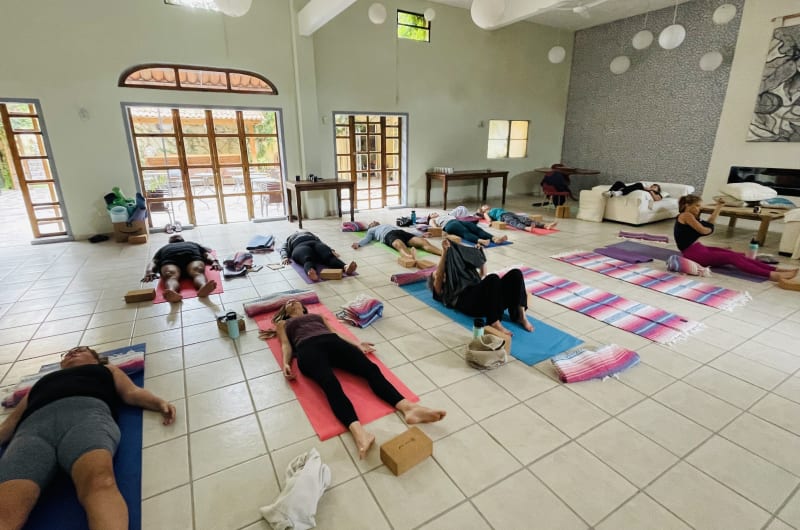 VIKARA WELLNESS Retreats & Holistic Health — photo 3