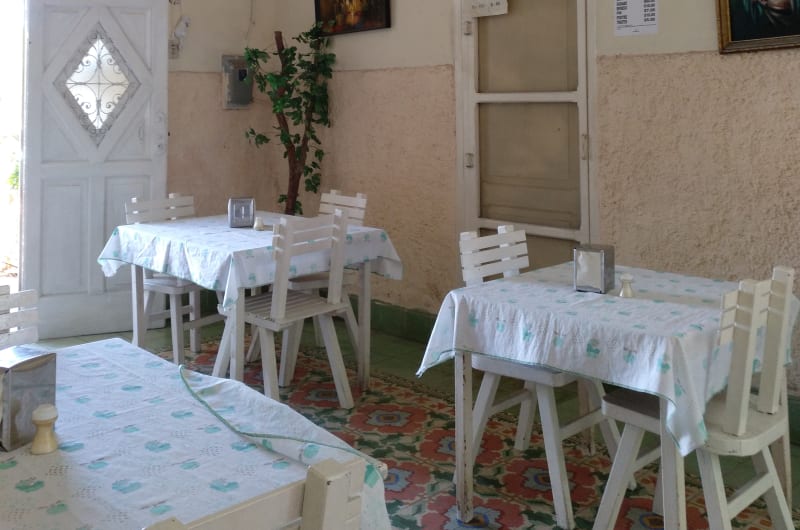 El Árbol — photo 1