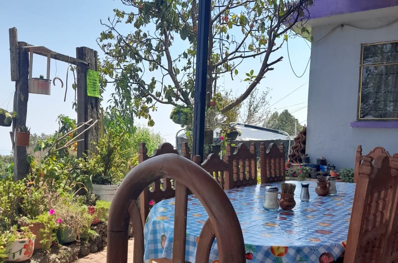 Restaurante Los Agapandos — photo 1