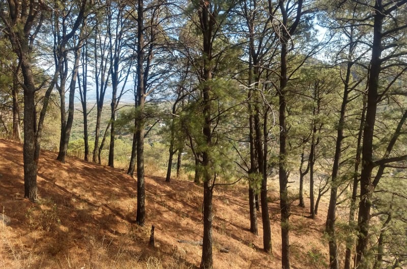 Mirador — photo 2