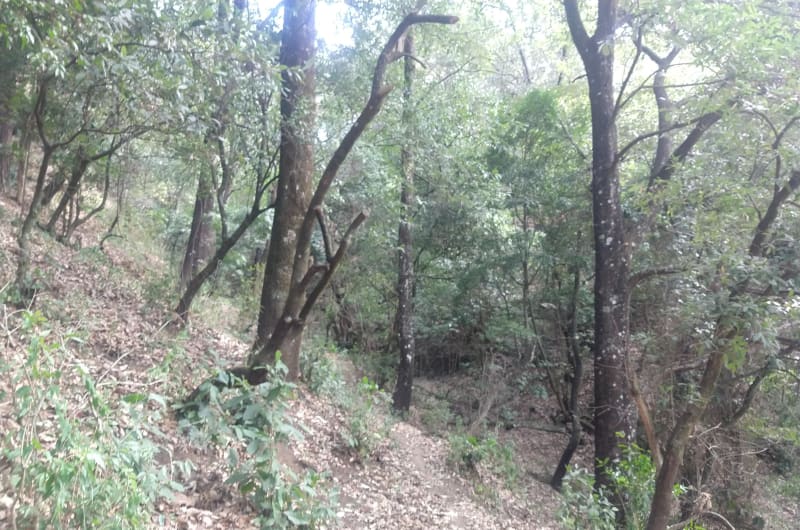 Mirador — photo 3
