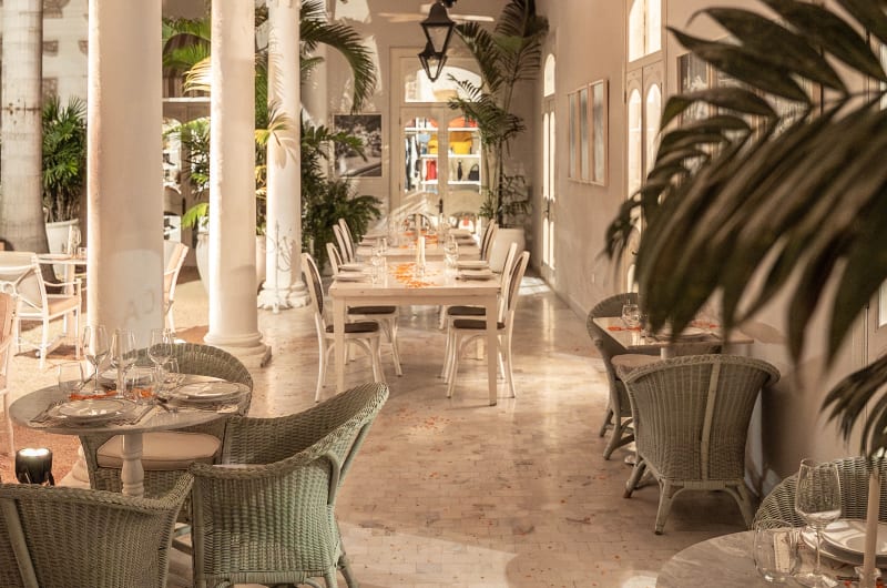 T'HŌ Aperitivo Restaurante — photo 1