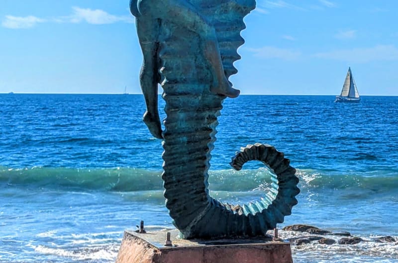 The Boy on the Seahorse — photo 1