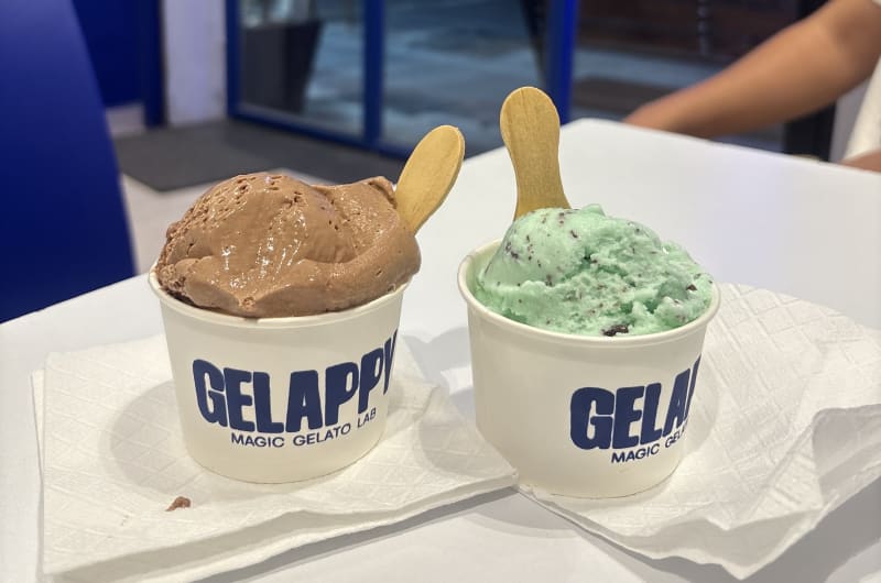 Gelappy / Magic Gelato Lab — photo 3