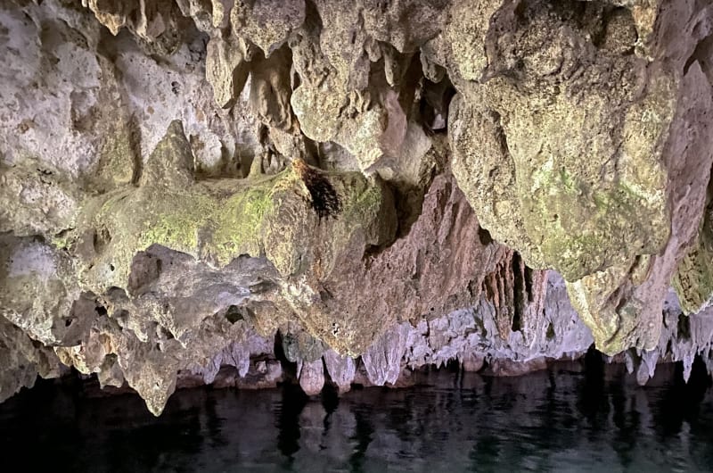 Tours, Scooters, ATVs, yacht - Maya 1 Travel — photo 1