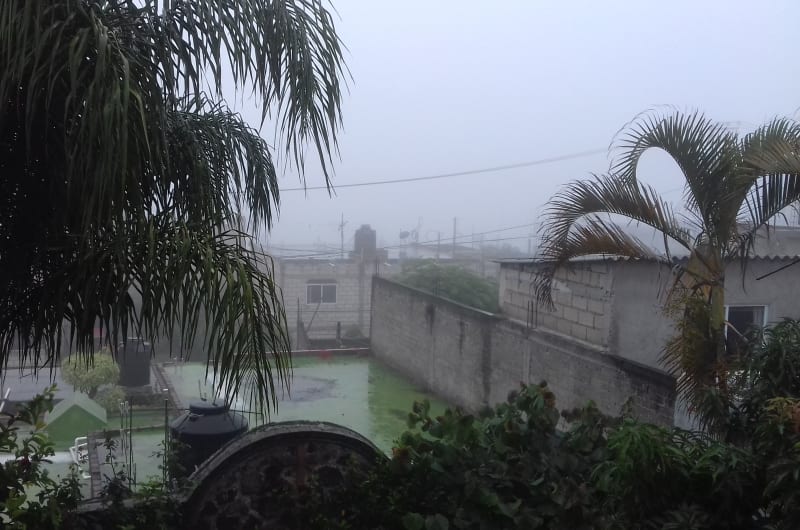 Cuerna-plomero — photo 1
