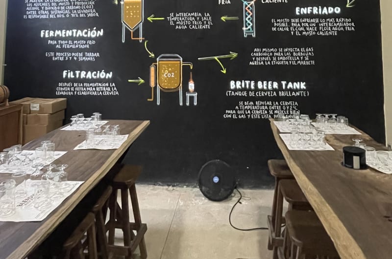 Cervecería Tulúm Tasting & Brewery Tour — photo 2